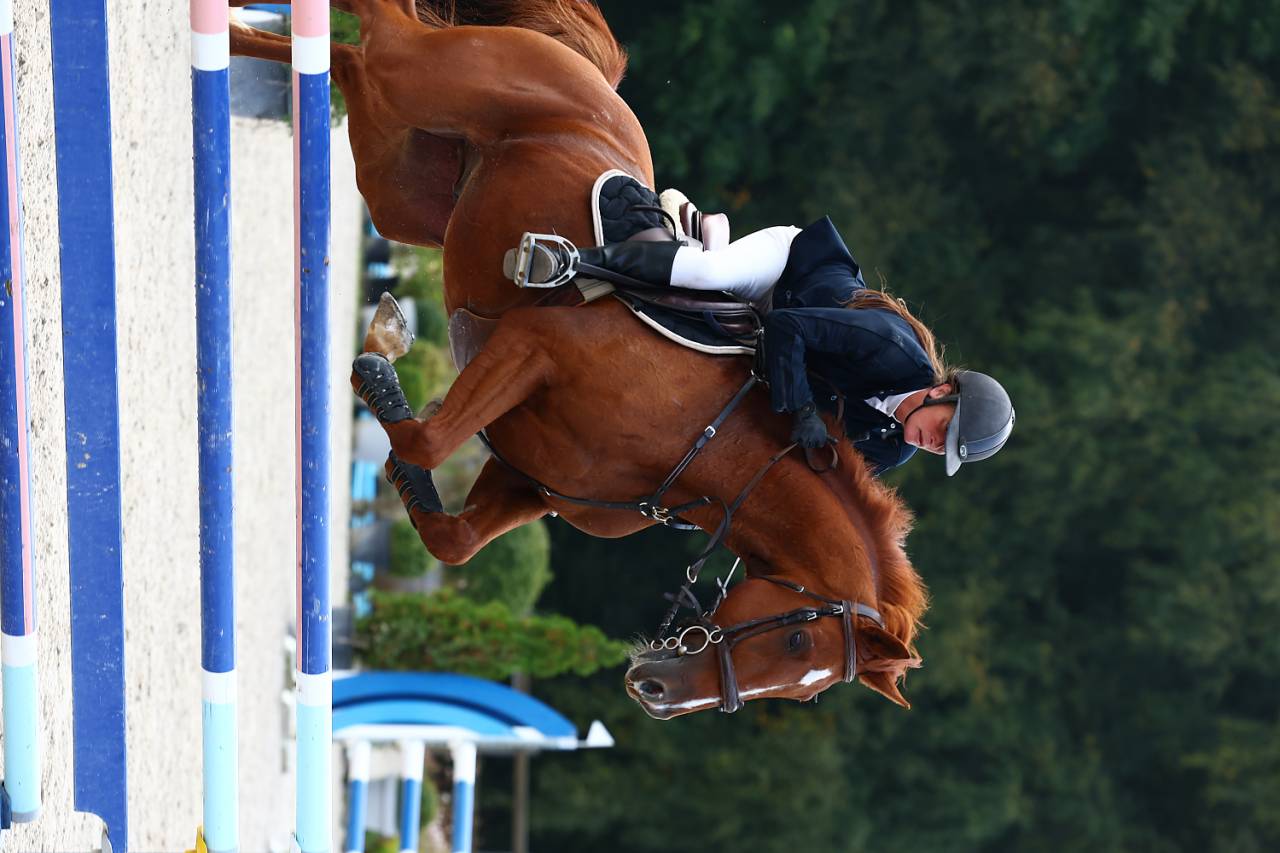 Hongre de 11 ans pour du loisir/CSO