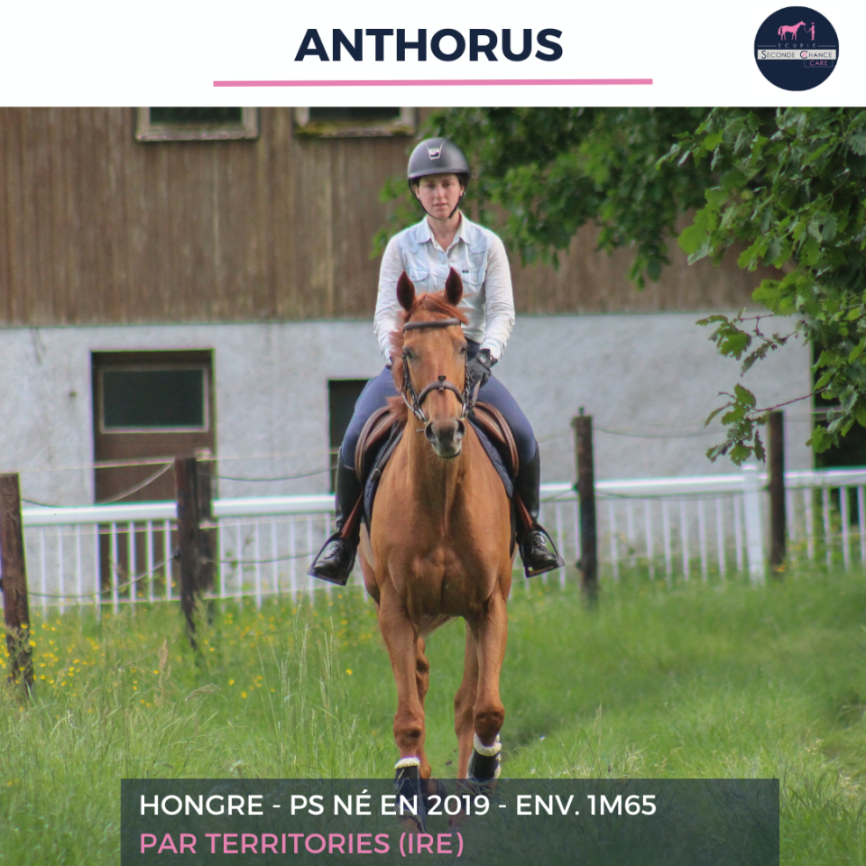 ANTHORUS - PS - 7 ANS 