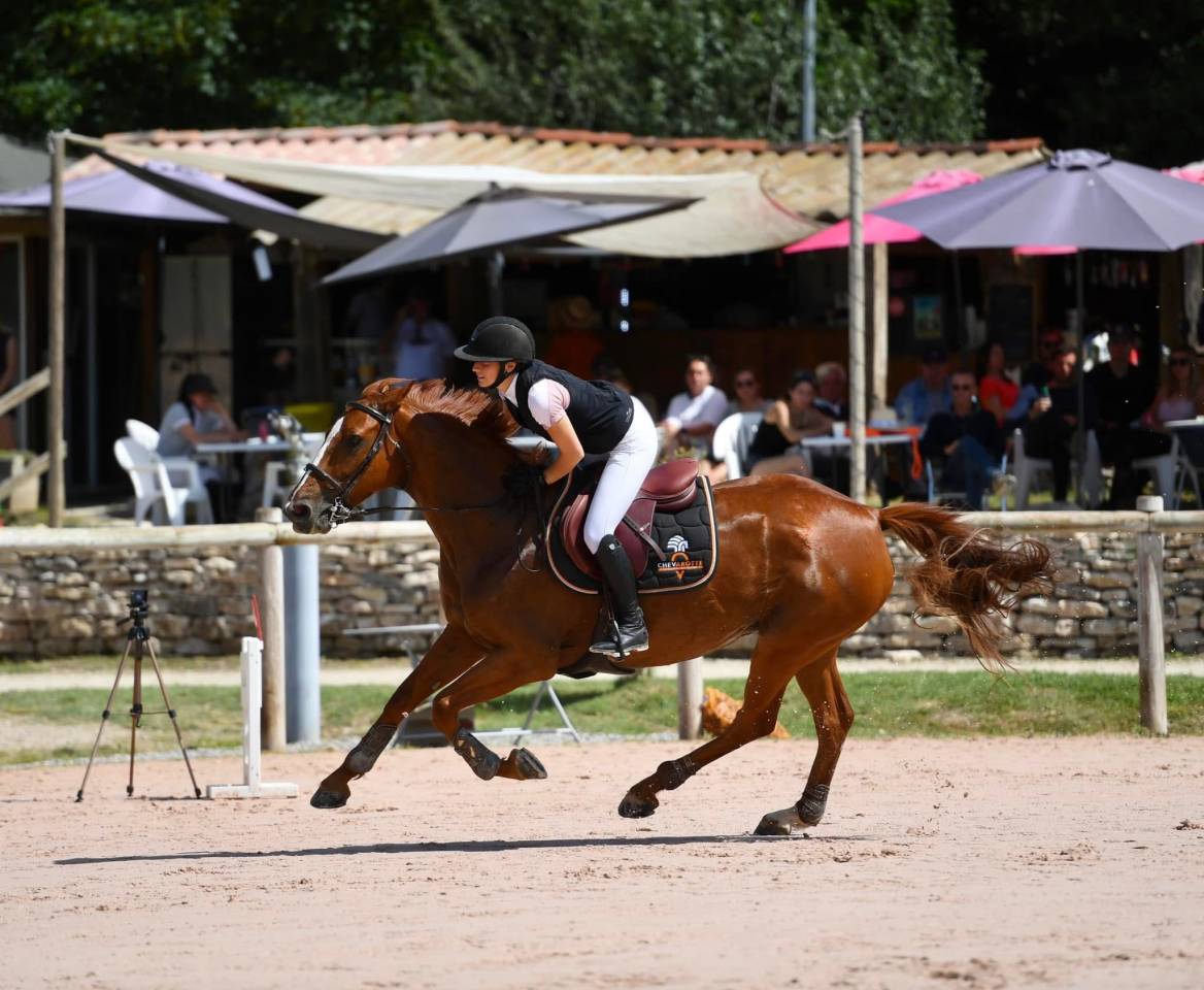 &Agrave; vendre Jument de sport 