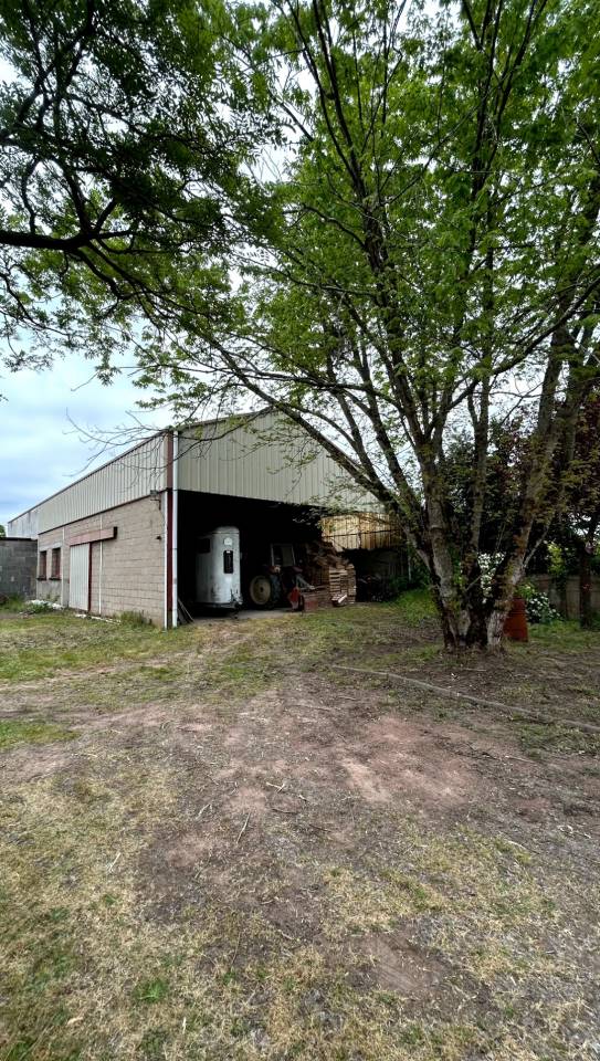 Propri&eacute;t&eacute; id&eacute;ale chevaux &ndash; 2,1 ha &ndash; 15 min d&rsquo;ANGERS