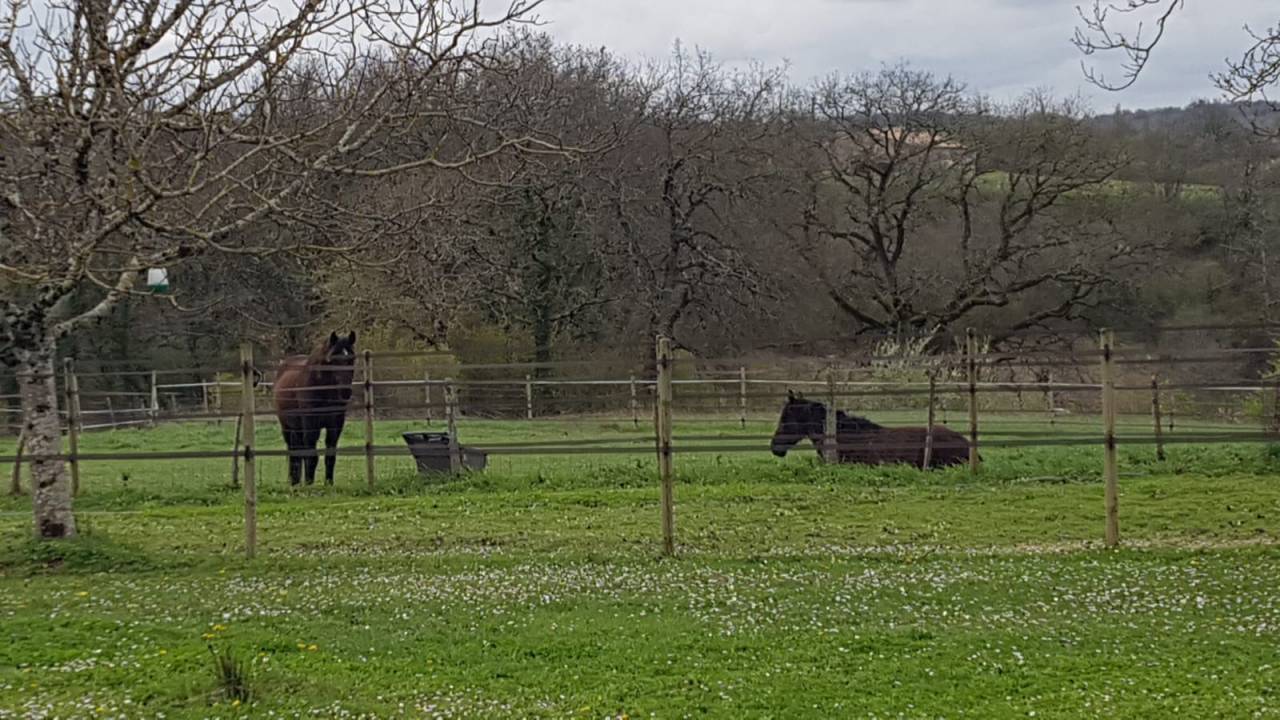 Belle demeure &eacute;questre en Gironde