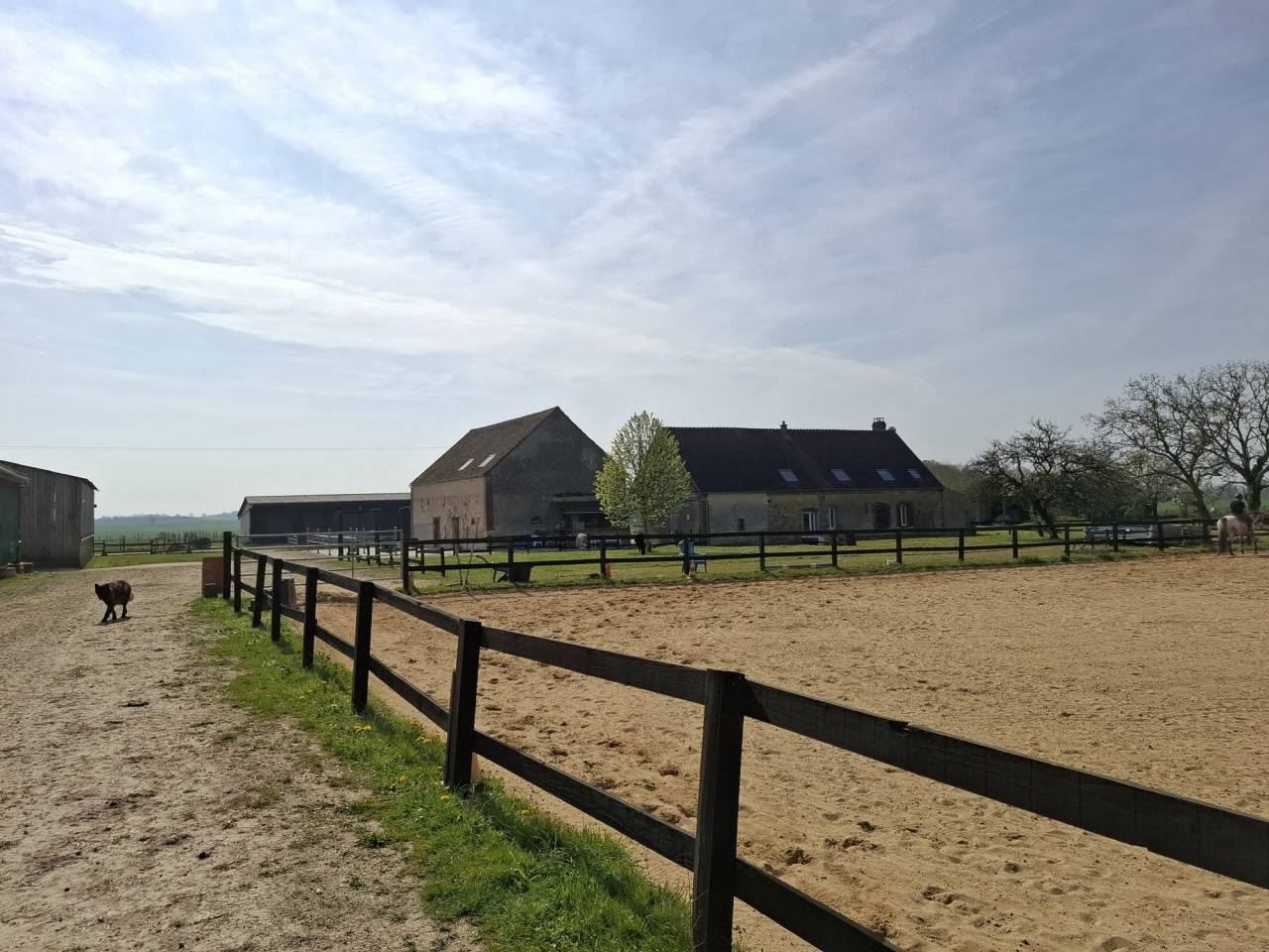 ? Propri&eacute;t&eacute; &eacute;questre de caract&egrave;re  Domaine de plus de