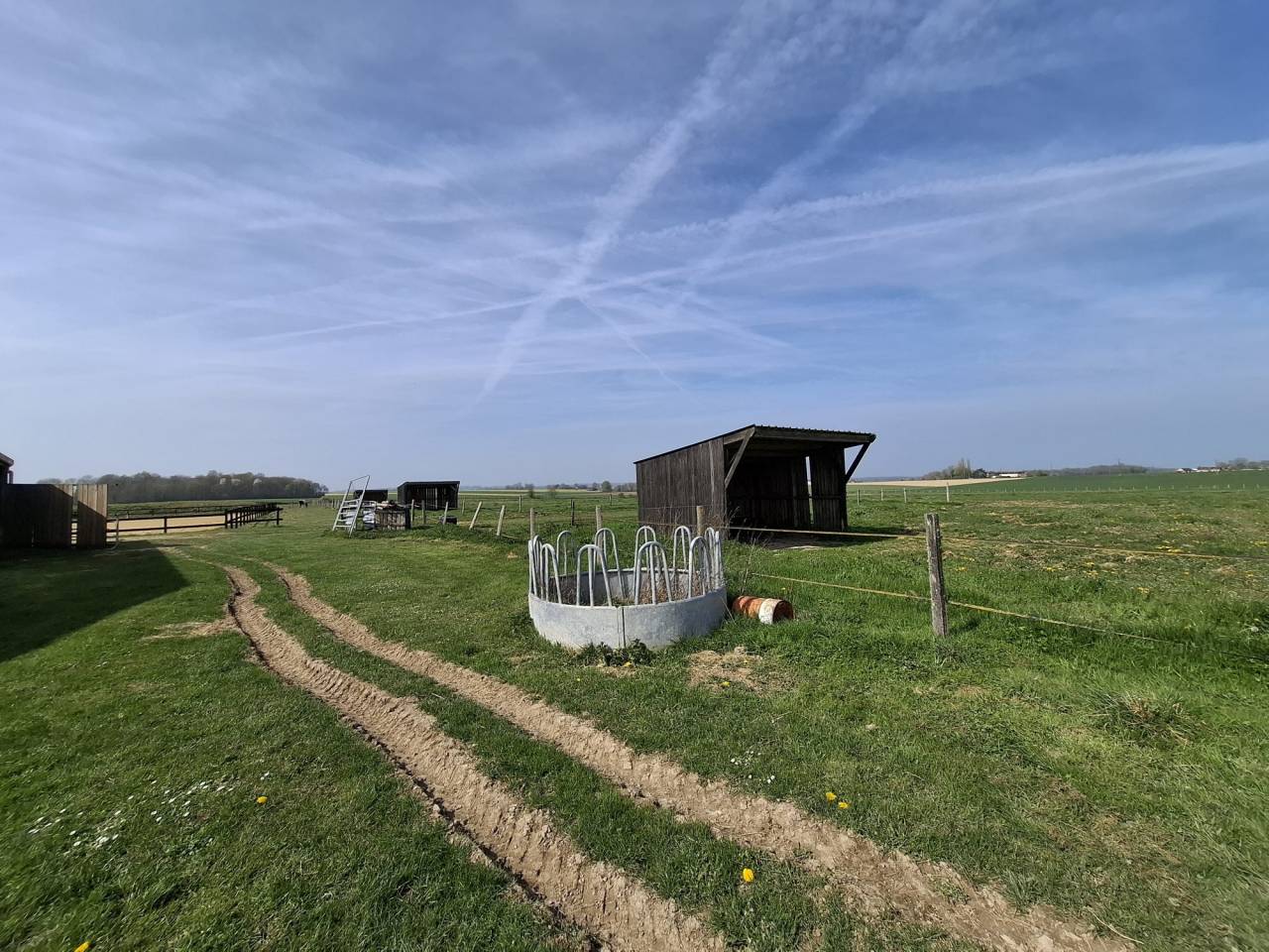 ? Propri&eacute;t&eacute; &eacute;questre de caract&egrave;re  Domaine de plus de