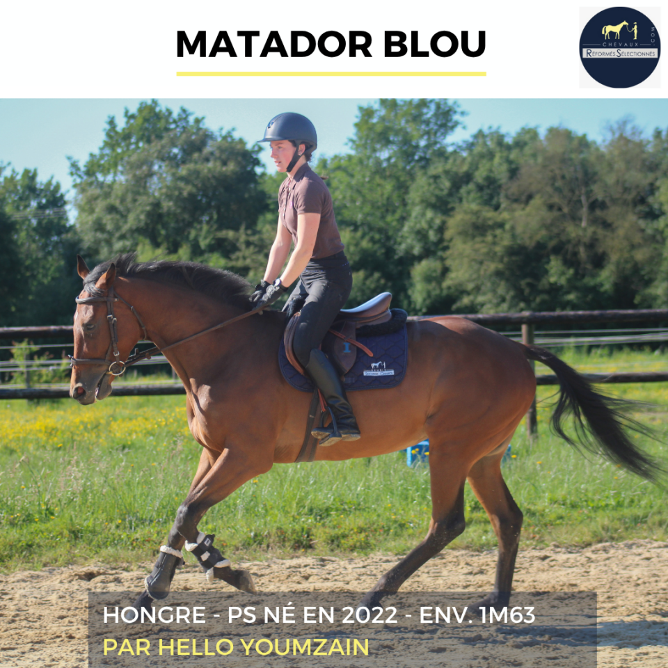 MATADOR BLOU - PS - 4 ANS
