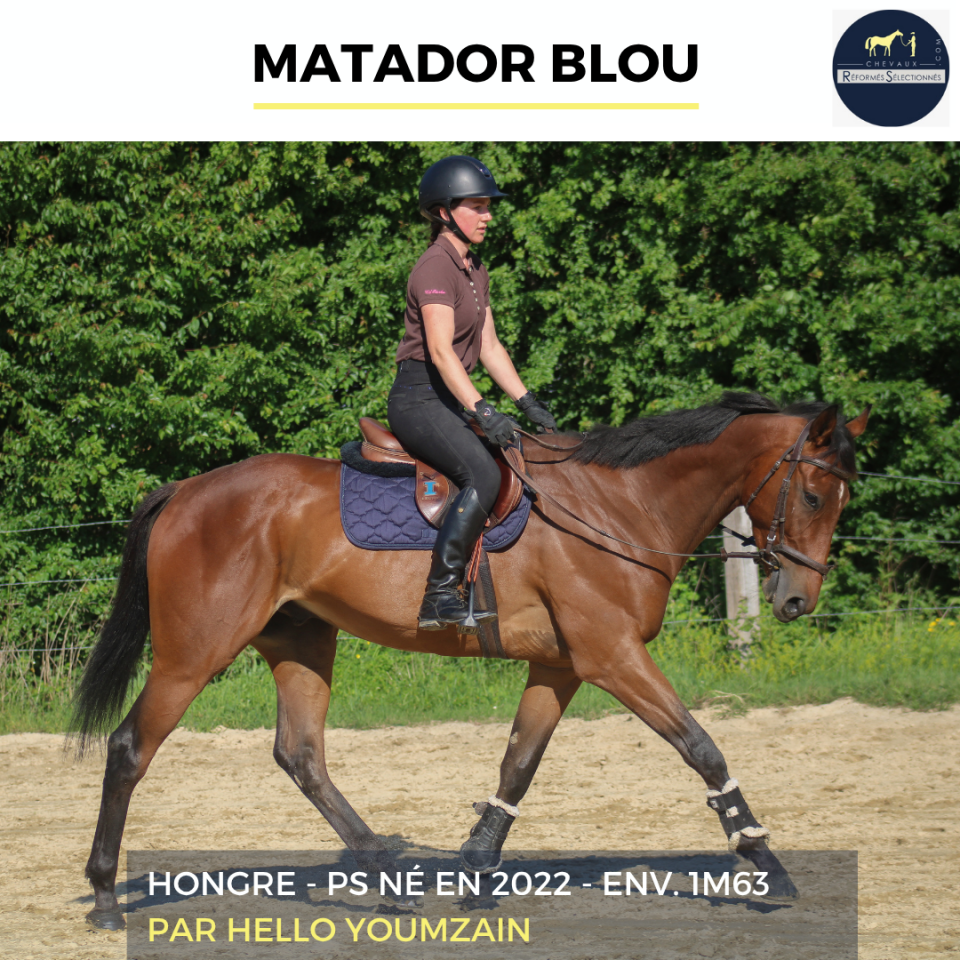 MATADOR BLOU - PS - 4 ANS