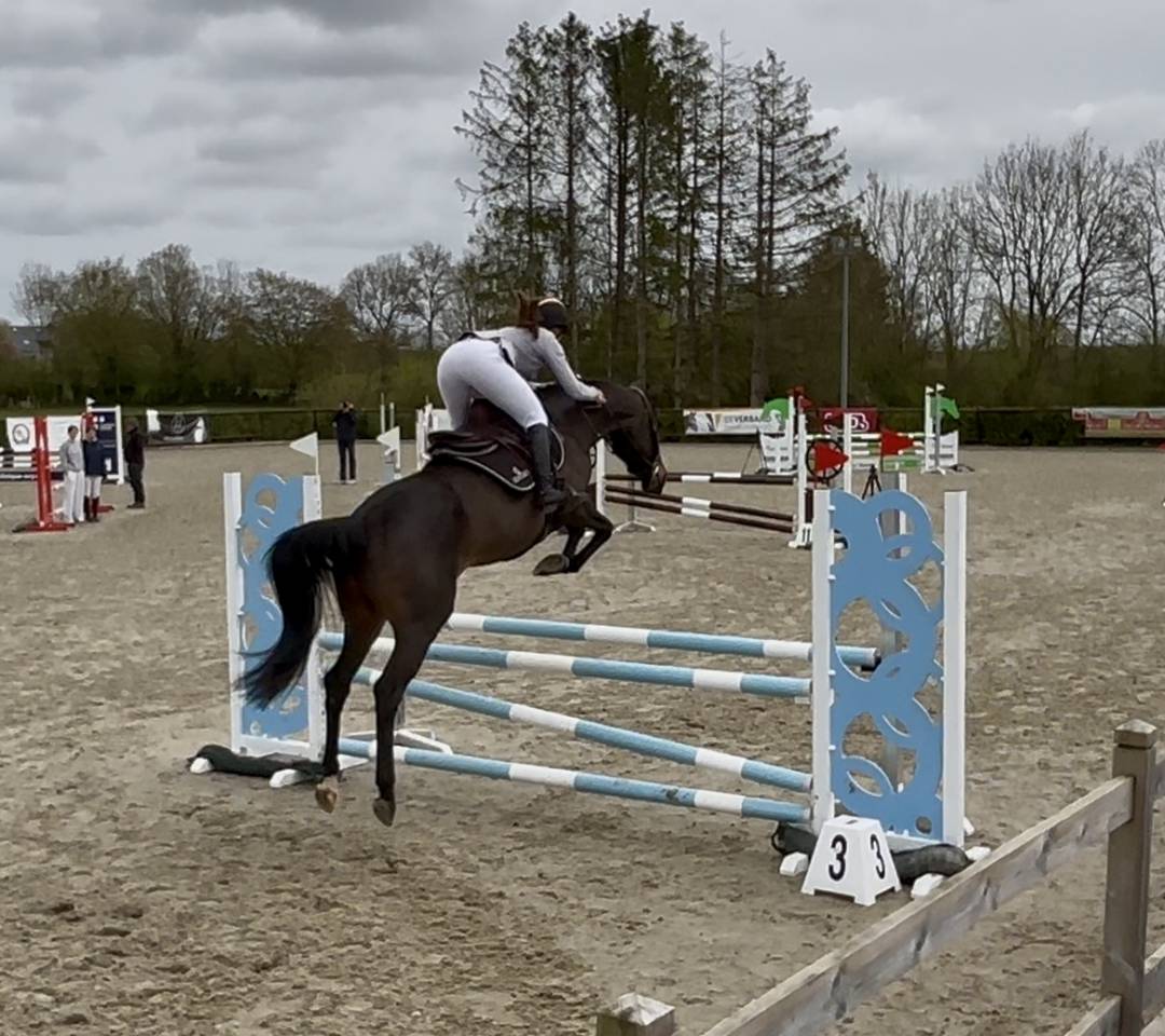 Top jument pour s&rsquo;&eacute;clater au concours!