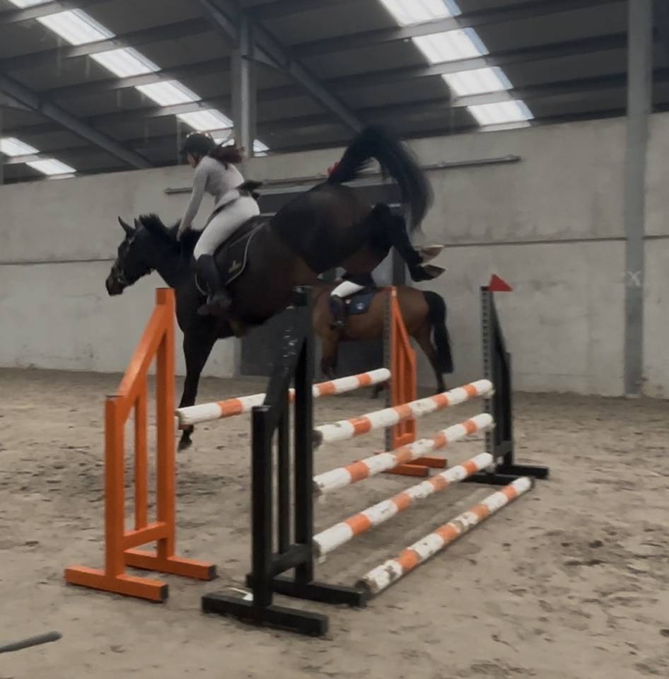 Top jument pour s&rsquo;&eacute;clater au concours!