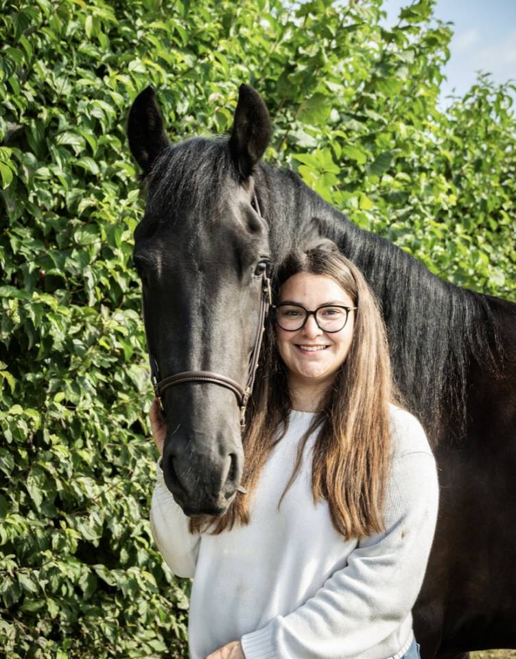 Frison &agrave; vendre 