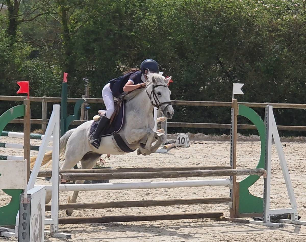 Poney C d'avenir pour jeune cavalier ambitieux 