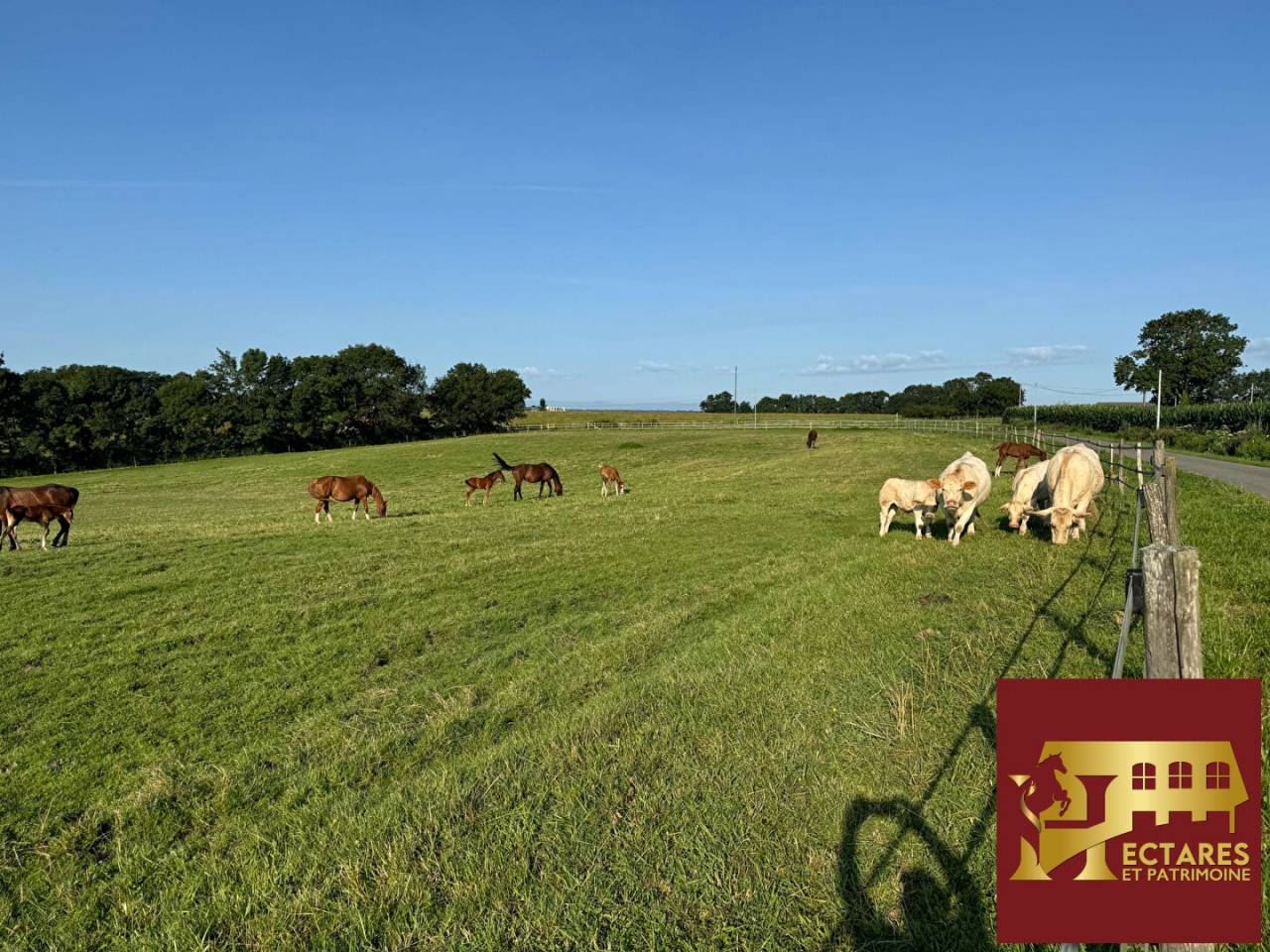 Propri&eacute;t&eacute; agricole 48 hectares
