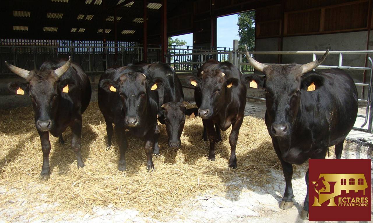 Propri&eacute;t&eacute; agricole 48 hectares