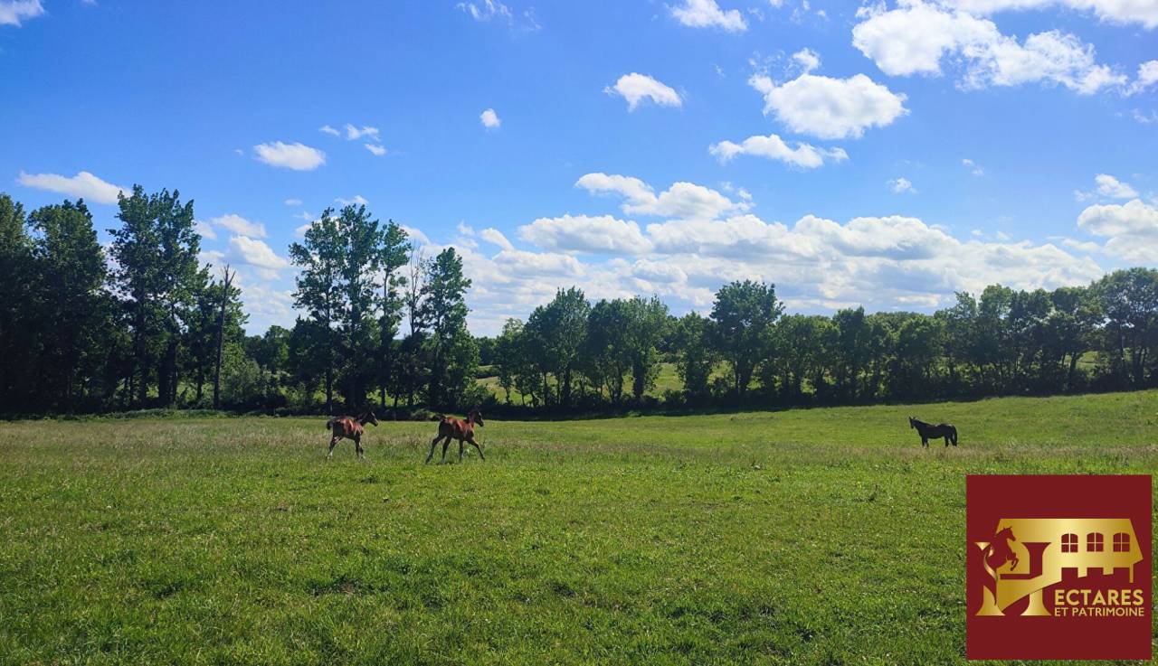 Propri&eacute;t&eacute; agricole 48 hectares