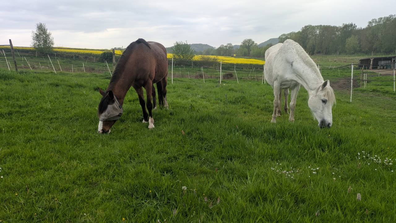 H&eacute;bergement sur equipistes &agrave; Chapelle-lez-Herlaimont