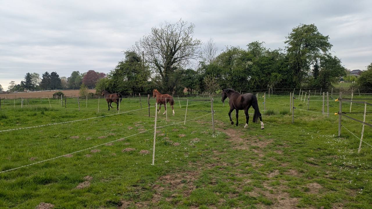H&eacute;bergement sur equipistes &agrave; Chapelle-lez-Herlaimont