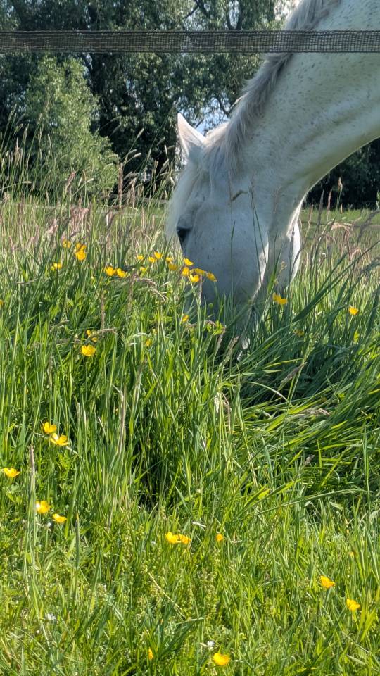 H&eacute;bergement sur equipistes &agrave; Chapelle-lez-Herlaimont