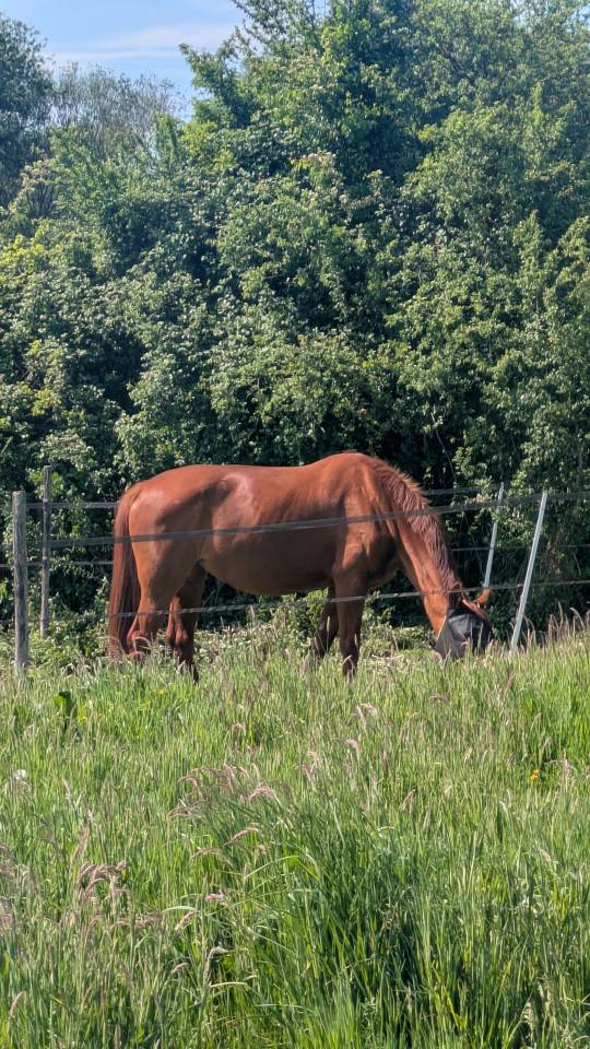 H&eacute;bergement sur equipistes &agrave; Chapelle-lez-Herlaimont