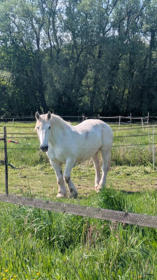 H&eacute;bergement sur equipistes &agrave; Chapelle-lez-Herlaimont