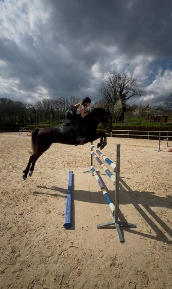 Jument SF top amateur