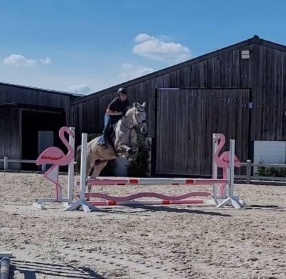Jument sBs 8 ans 1m65