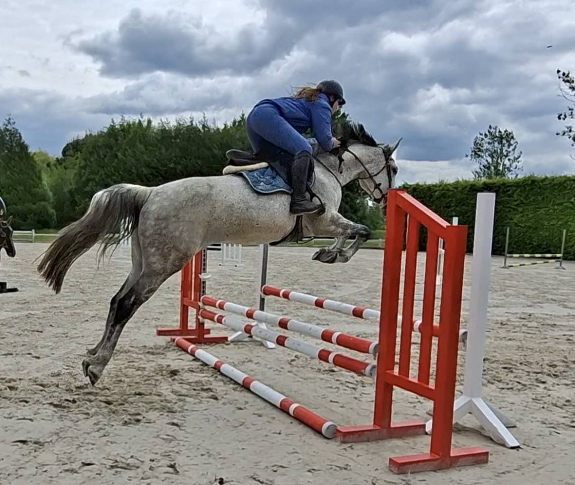 Jument sBs 8 ans 1m65