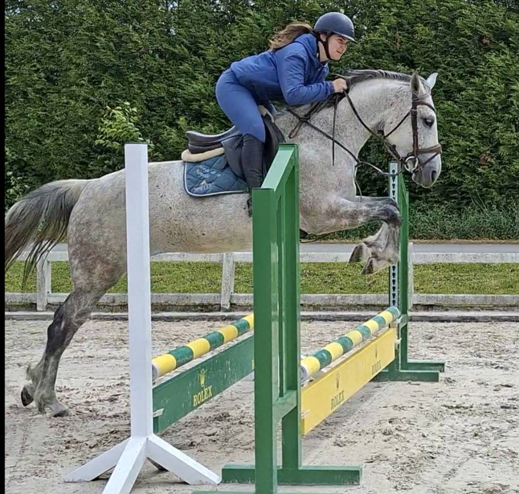 Jument sBs 8 ans 1m65