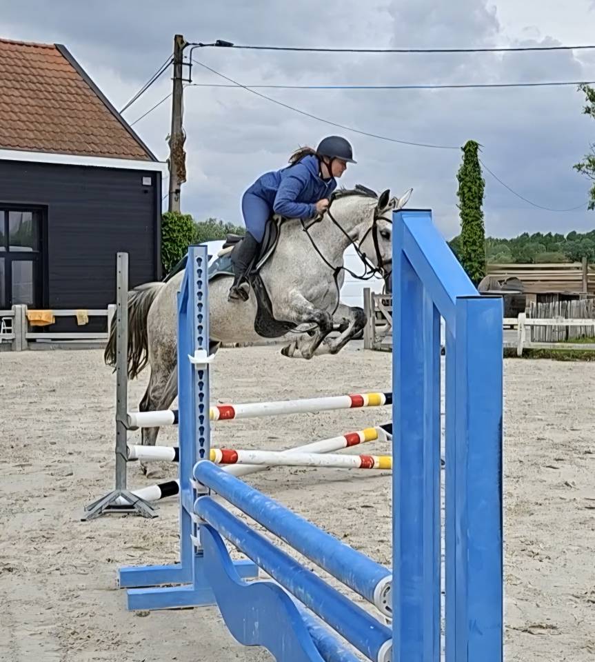 Jument sBs 8 ans 1m65