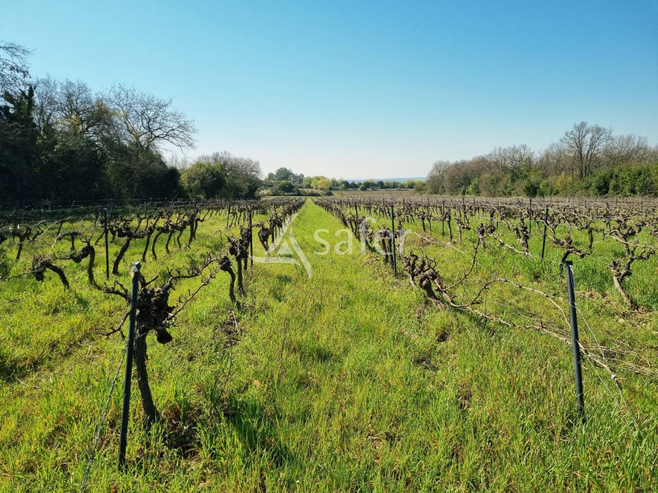 Aux portes d'Uz&egrave;s, propri&eacute;t&eacute; agrotouristique familiale aux mu