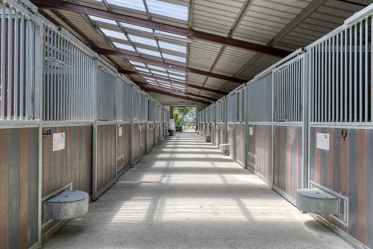 Domaine &eacute;questre de prestige avec h&eacute;bergements et installation
