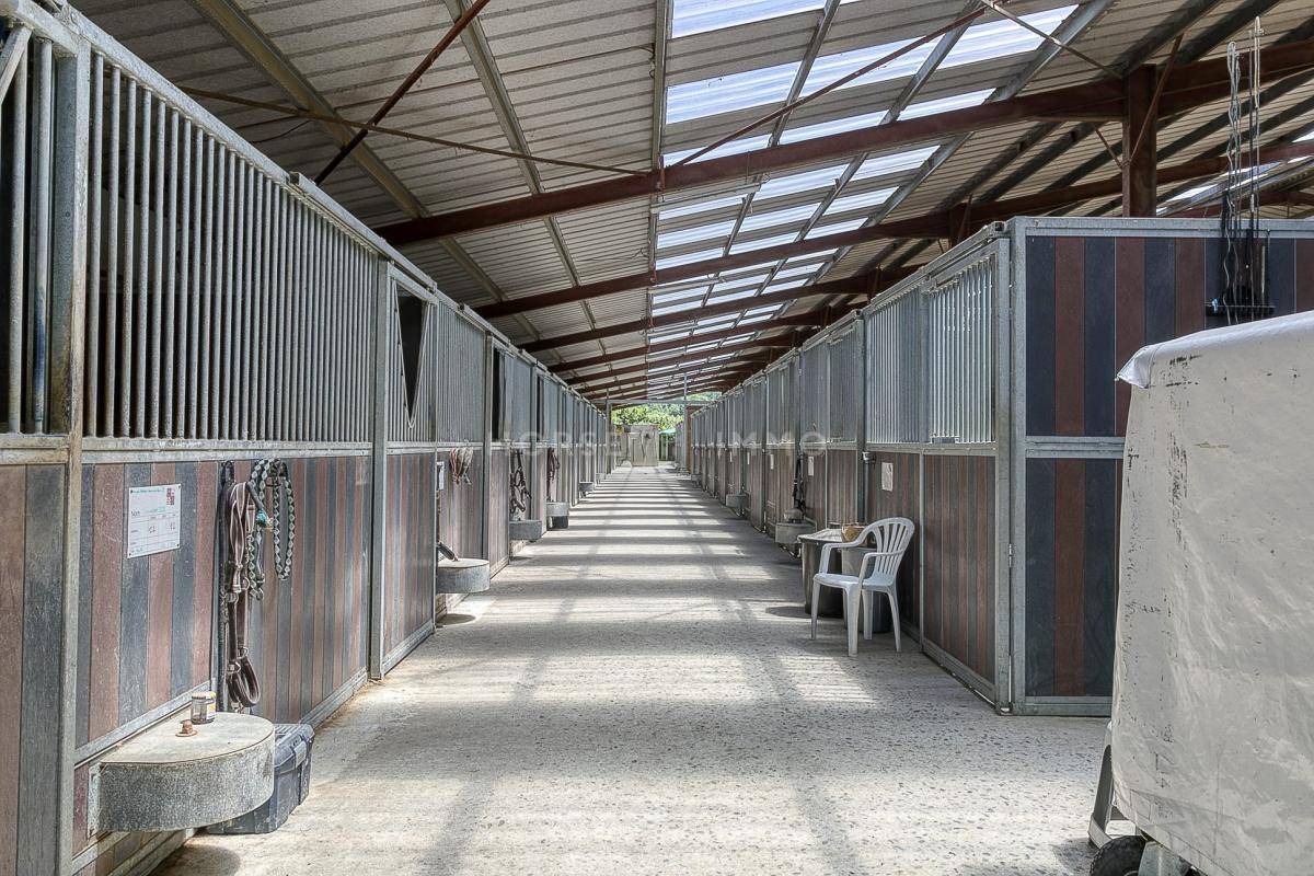 Domaine &eacute;questre de prestige avec h&eacute;bergements et installation
