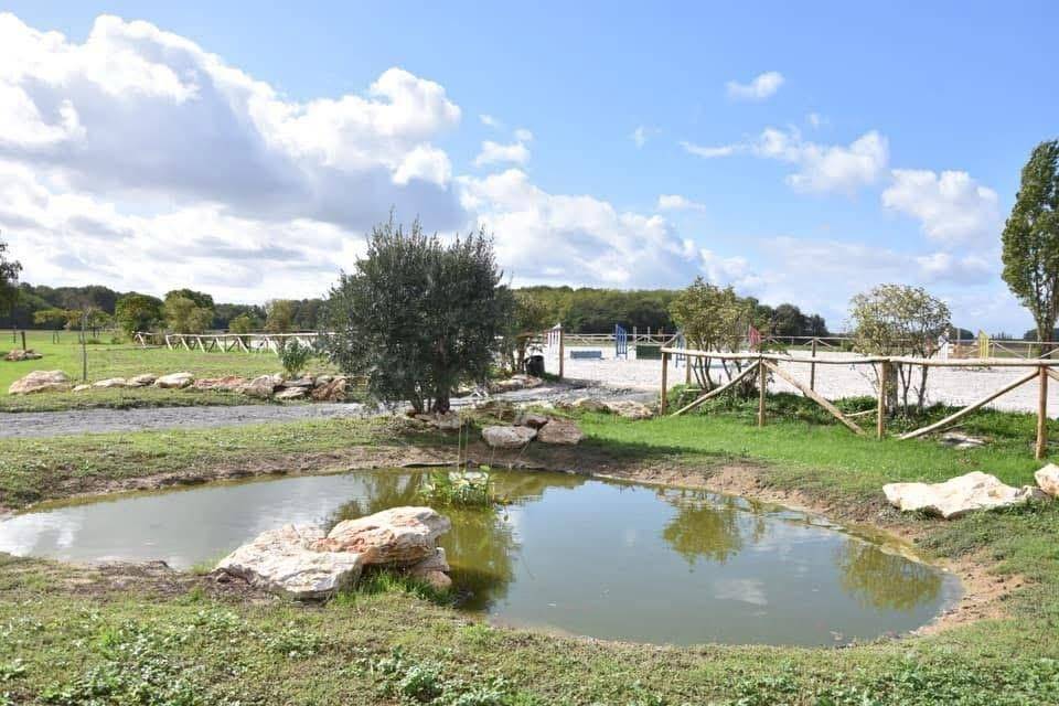 Domaine &eacute;questre d'exception &agrave; Azay-sur-Cher  Indre-et-Lo