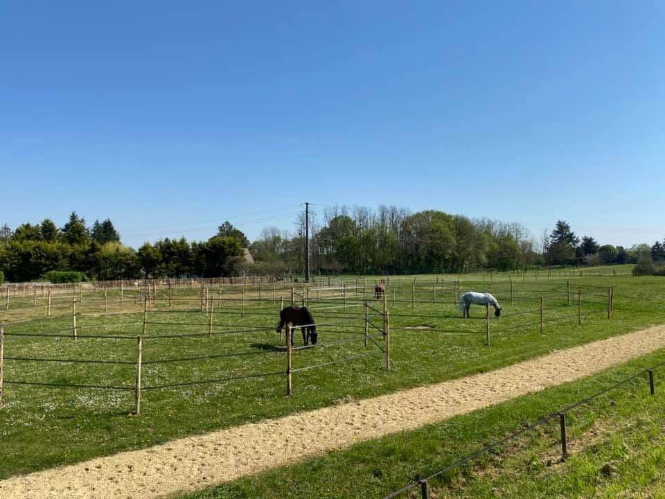 Domaine &eacute;questre d'exception &agrave; Azay-sur-Cher  Indre-et-Lo