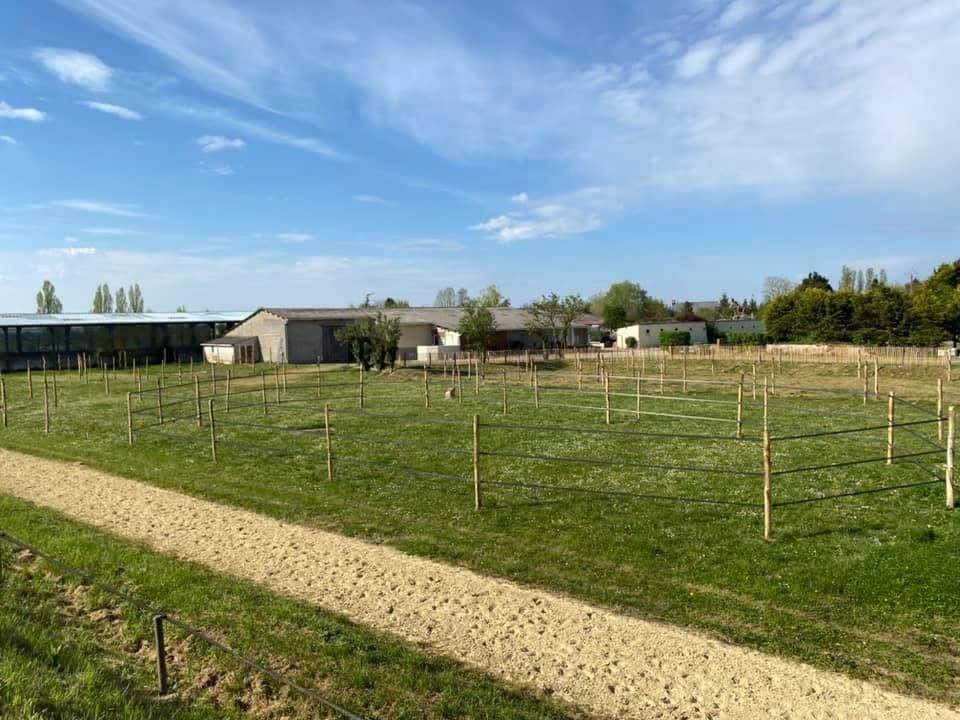 Domaine &eacute;questre d'exception &agrave; Azay-sur-Cher  Indre-et-Lo