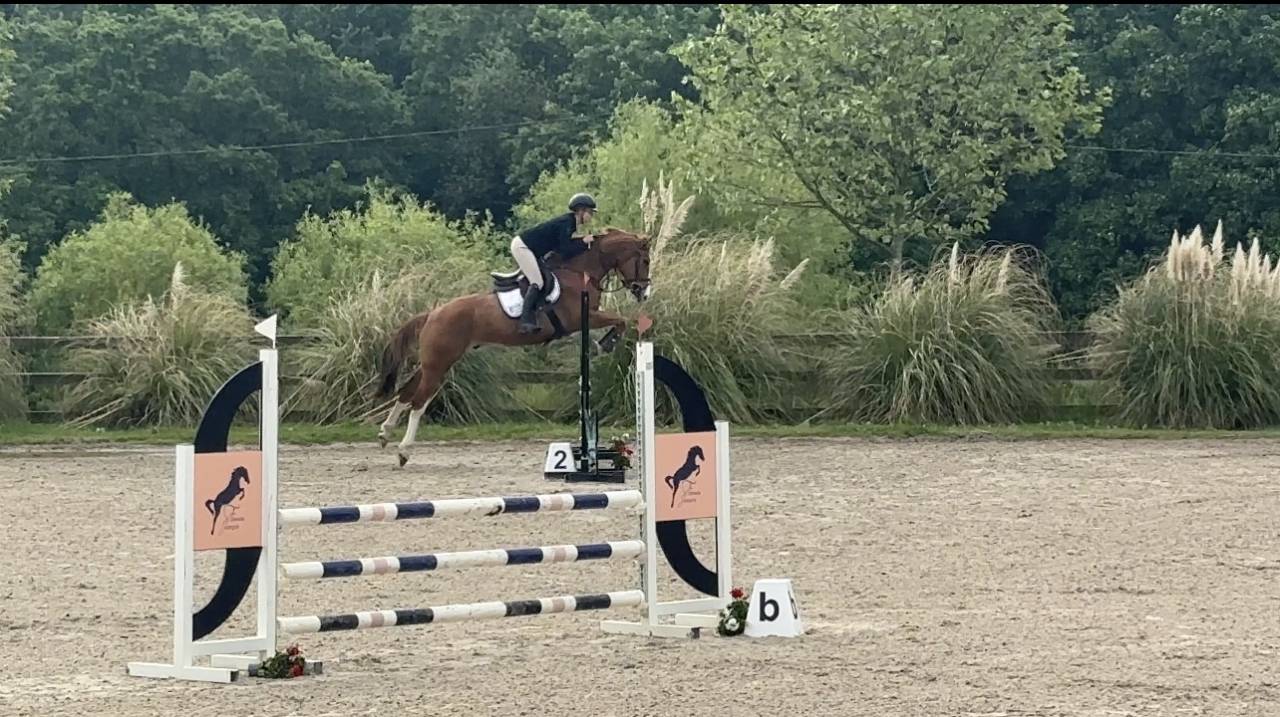 Hongre de 5ans 162&rsquo; par Chacco White x Questions