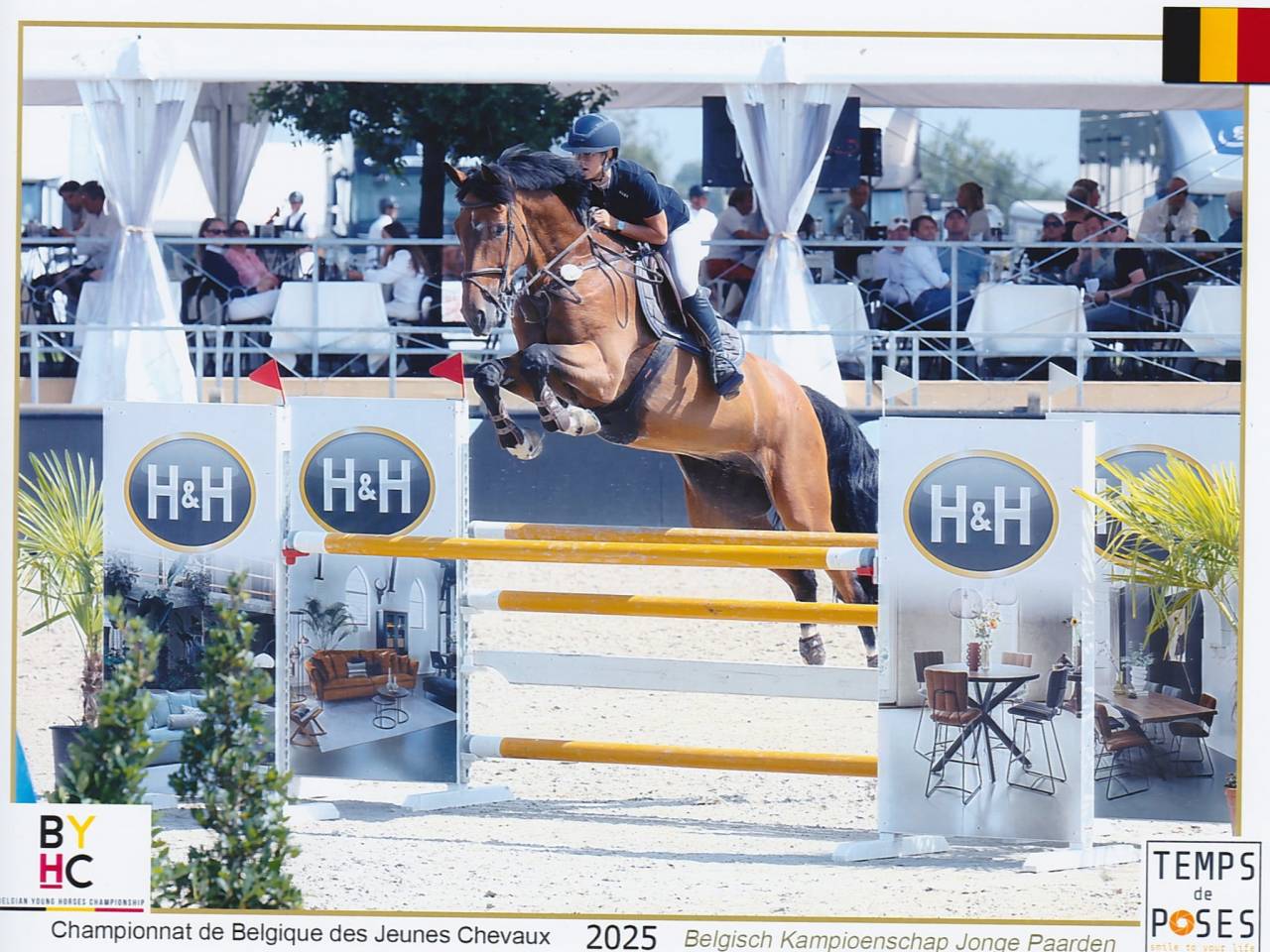SBS - Hongre de 7 ans &ndash; 179 cm