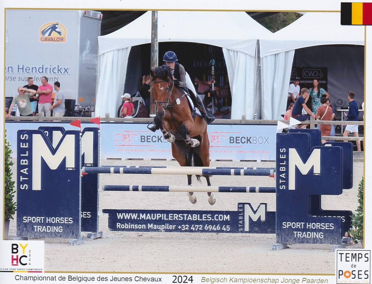 SBS - Hongre de 7 ans &ndash; 179 cm