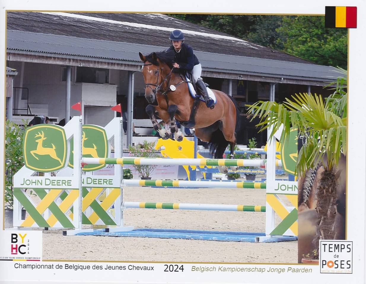 SBS - Hongre de 7 ans &ndash; 179 cm