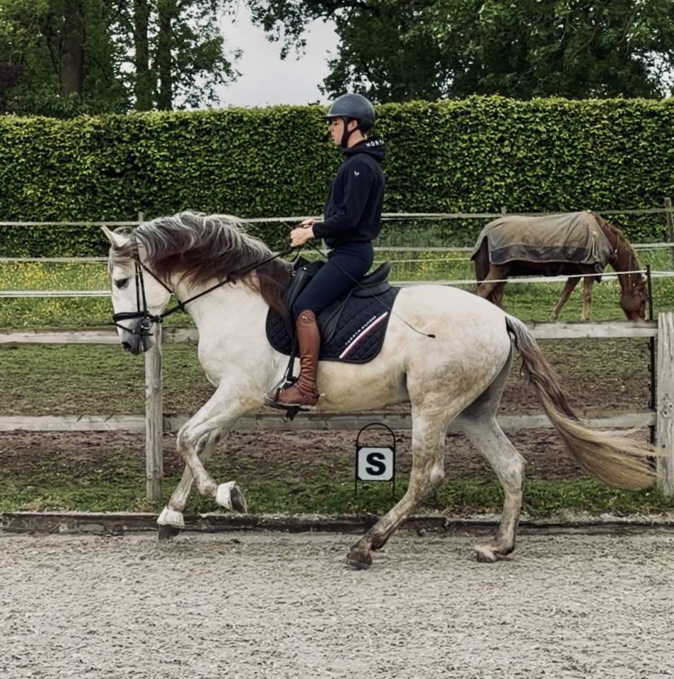 Magnifique entier PRE 4 ans 
