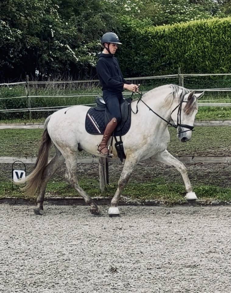 Magnifique entier PRE 4 ans 
