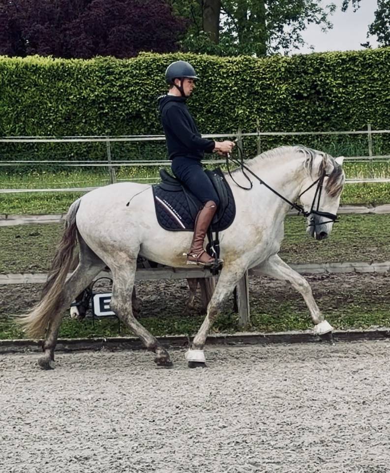 Magnifique entier PRE 4 ans 