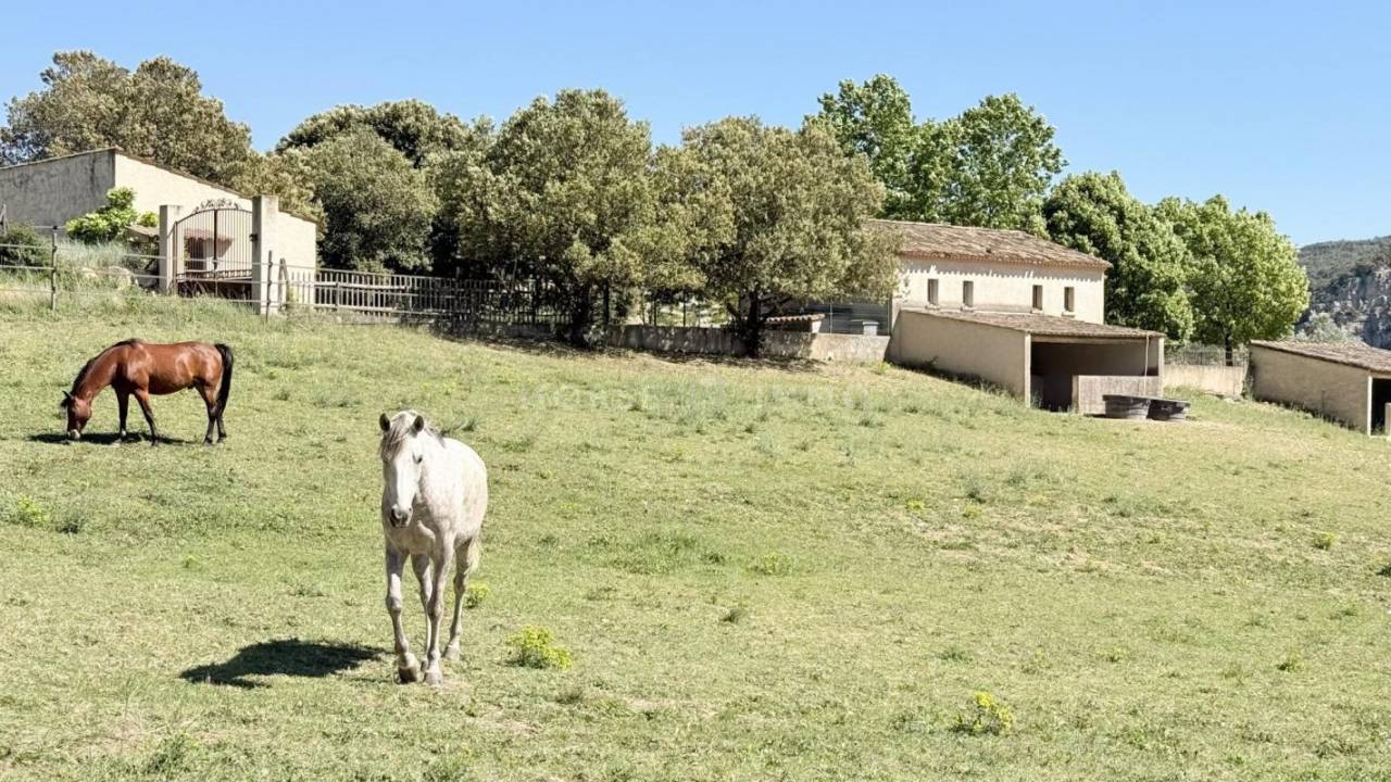 Belle bastide &eacute;questre au coeur de la Provence avec 2 g&icirc;tes