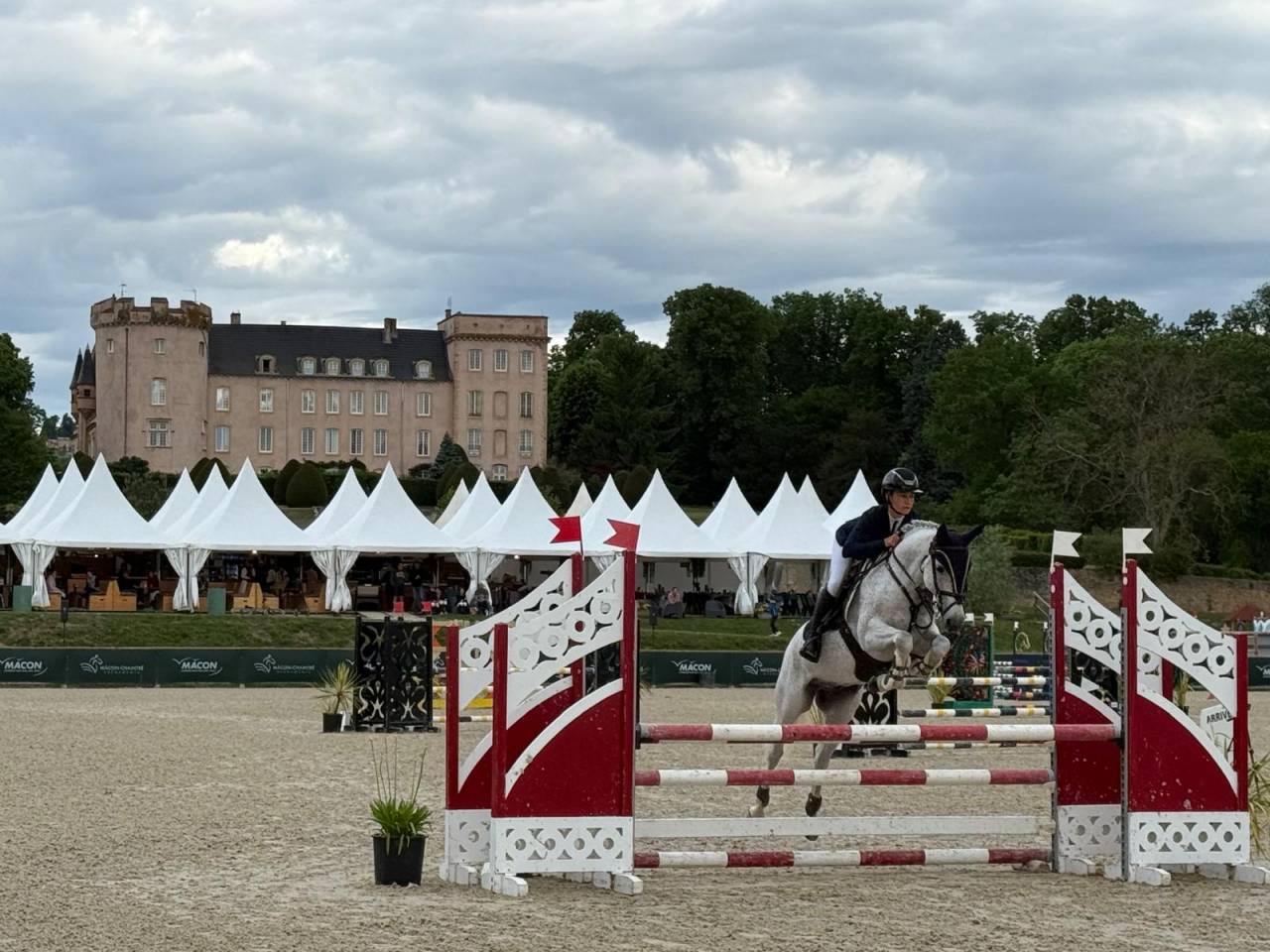 Poney d&rsquo;As &agrave; vendre 