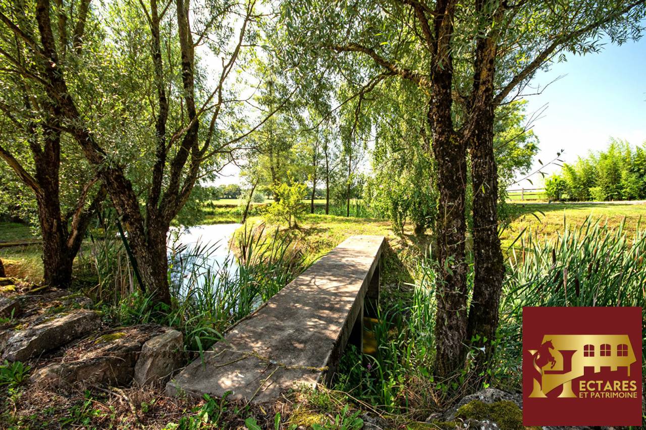 Domaine &eacute;questre + de 30 hectares