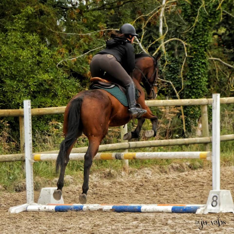 | PRINCE ? - 1m65 - 6ans | 