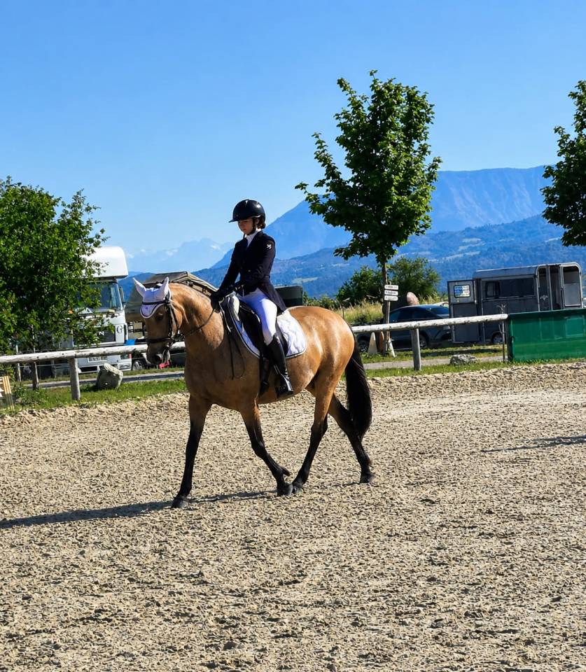 Ponette - 8 ans - Dressage / Id&eacute;ale enfant - France