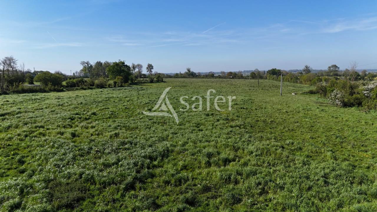 Propri&eacute;t&eacute; herbag&egrave;re 17 ha