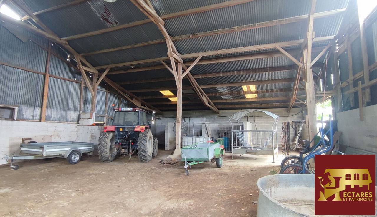 3,5 hectares et habitation r&eacute;nov&eacute;e