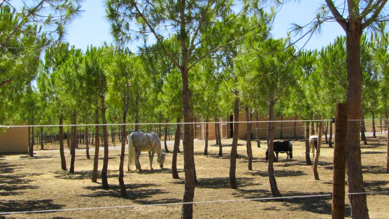 Propri&eacute;t&eacute; &eacute;questre de 4,5 hectares - H&eacute;rault (34)