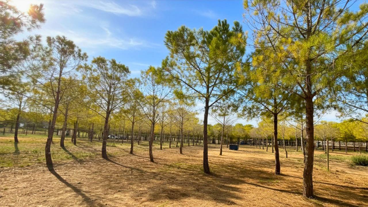 Propri&eacute;t&eacute; &eacute;questre de 4,5 hectares - H&eacute;rault (34)