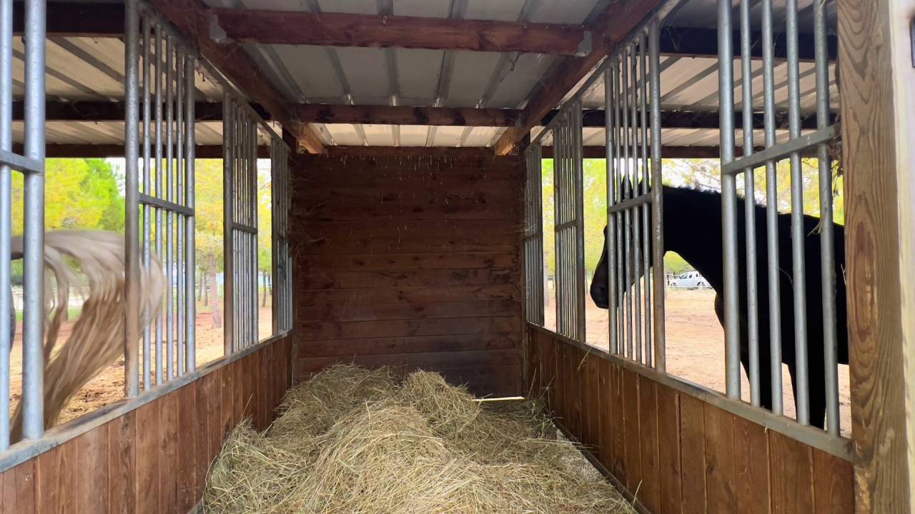Propri&eacute;t&eacute; &eacute;questre de 4,5 hectares - H&eacute;rault (34)