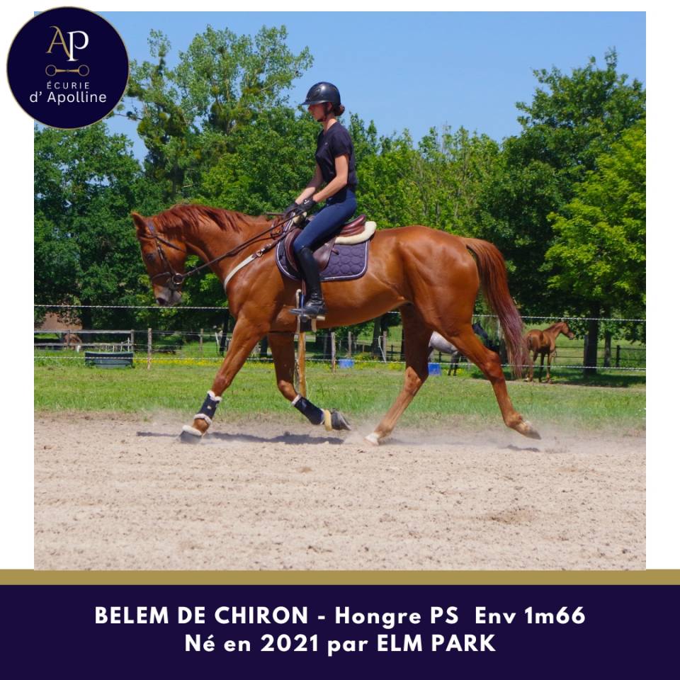 5 ans env 1m66 mental en or